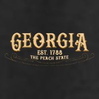 The Peach State Georgia Adult Drive Performance Visor