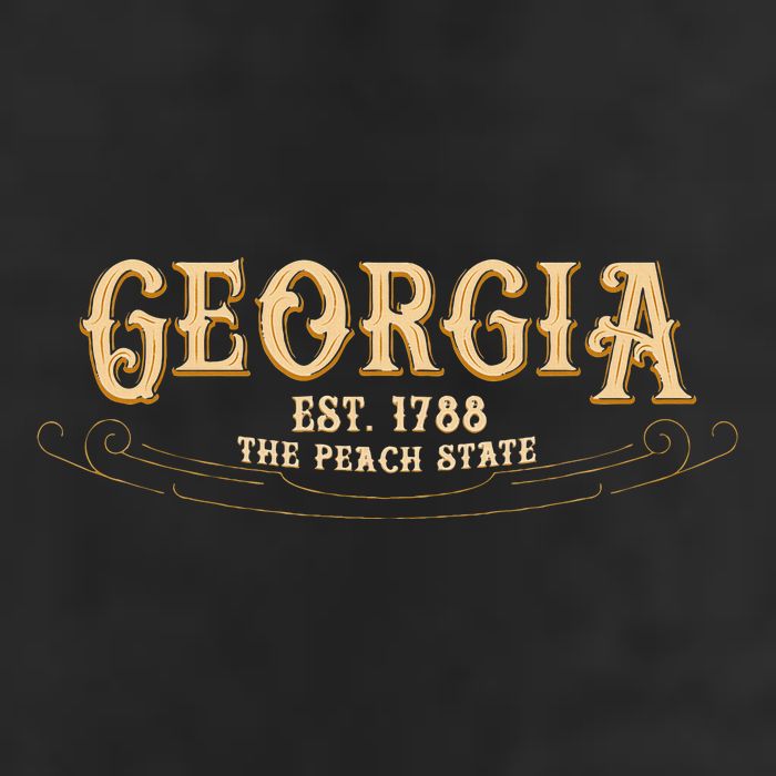 The Peach State Georgia Adult Drive Performance Visor