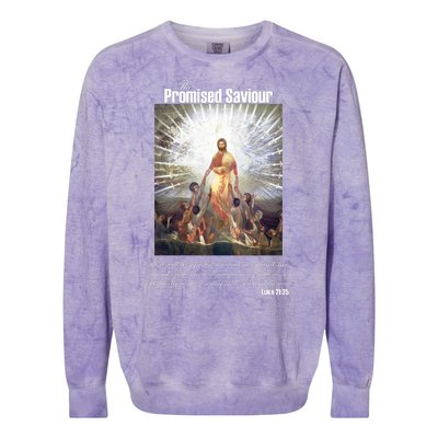 The Promised Saviour Luke Bible Quote Jesus Pray For Peace Colorblast Crewneck Sweatshirt