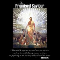 The Promised Saviour Luke Bible Quote Jesus Pray For Peace T-Shirt