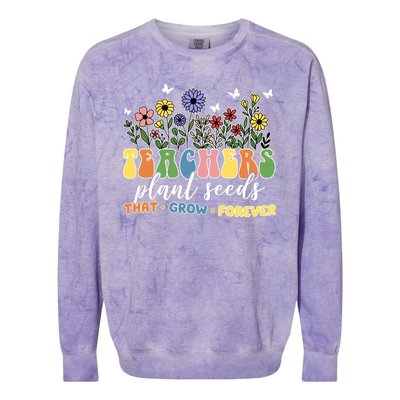 Teachers Plant Seeds That Grow Forever Colorblast Crewneck Sweatshirt