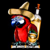 Tequilla Parrot Stripe Pom Pom Beanie