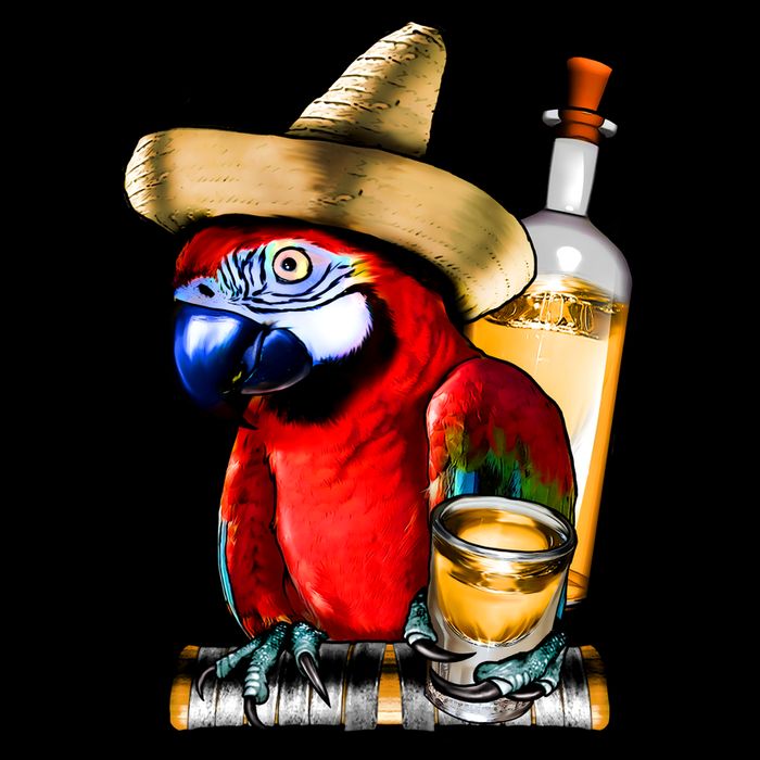 Tequilla Parrot Stripe Pom Pom Beanie