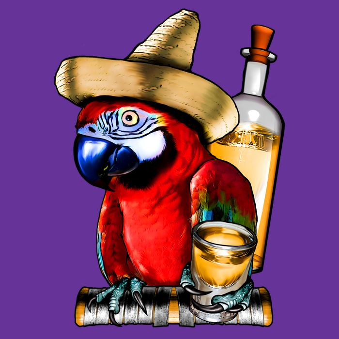Tequilla Parrot Womens T-Shirt