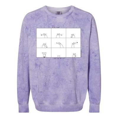 The Point Colorblast Crewneck Sweatshirt