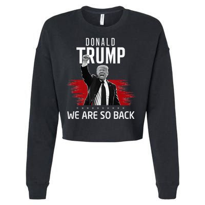 Trump President Victory We Are So Back Cropped Pullover Crew
