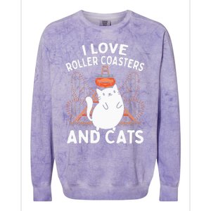 Theme Park Vacation I Love Roller Coasters And Cats Colorblast Crewneck Sweatshirt