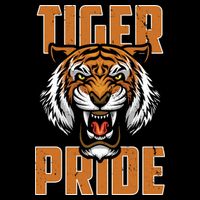 Tiger Pride Vintage Wool Snapback Cap