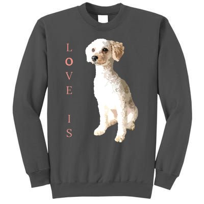 Toy Poodle Women Men Kids Dog Mom Dad Love Pet Gift T Tall Sweatshirt