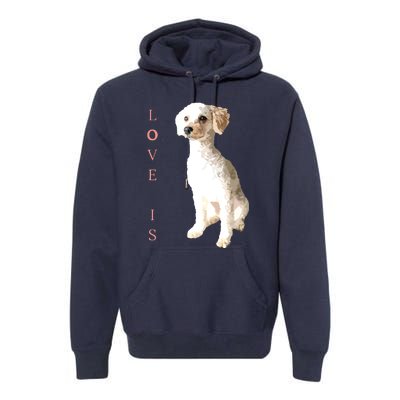 Toy Poodle Women Men Kids Dog Mom Dad Love Pet Gift T Premium Hoodie