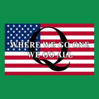 Trump Qanon Where We Go One We Go All Toddler T-Shirt