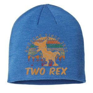 Two Rex 2nd Birthday Gift Second Dinosaur 2 Year Old  Sustainable Beanie