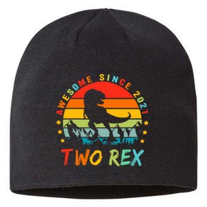 Two Rex 2nd Birthday Gift Second Dinosaur 2 Year Old Sustainable Beanie