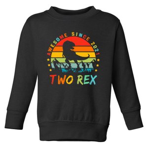 Two Rex 2nd Birthday Gift Second Dinosaur 2 Year Old Toddler Sweatshirt