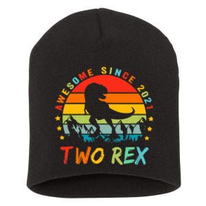 Two Rex 2nd Birthday Gift Second Dinosaur 2 Year Old Short Acrylic Beanie