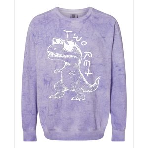 Two Rex 2nd Birthday Gifts Second Dinosaur Boy 2 Years Old Colorblast Crewneck Sweatshirt