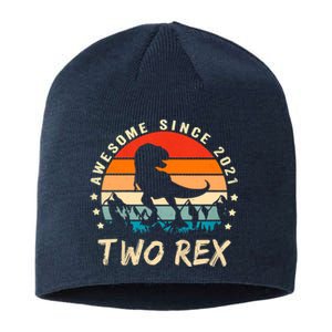 Two Rex 2nd Birthday Gift Second Dinosaur 2 Year Old Sustainable Beanie