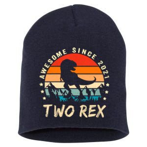 Two Rex 2nd Birthday Gift Second Dinosaur 2 Year Old Short Acrylic Beanie