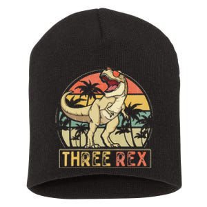 Three Rex 3rd Birthday Gifts Dinosaur 3 Year Old Short Acrylic Beanie