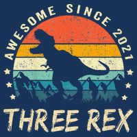 Three Rex 3rd Birthday Third Dinosaur 3 Year Old Drawstring Bag