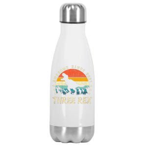 Three Rex 3rd Birthday Third Dinosaur 3 Year Old Stainless Steel Insulated Water Bottle