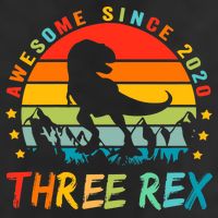 Three Rex 3rd Birthday Third Dinosaur 3 Year Old Cool Comfort Performance Bucket Hat