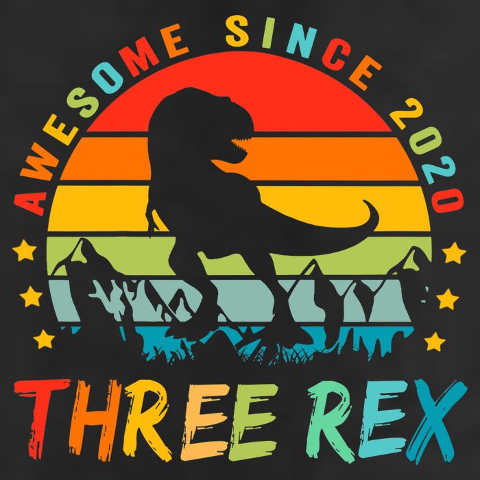 Three Rex 3rd Birthday Third Dinosaur 3 Year Old Cool Comfort Performance Bucket Hat