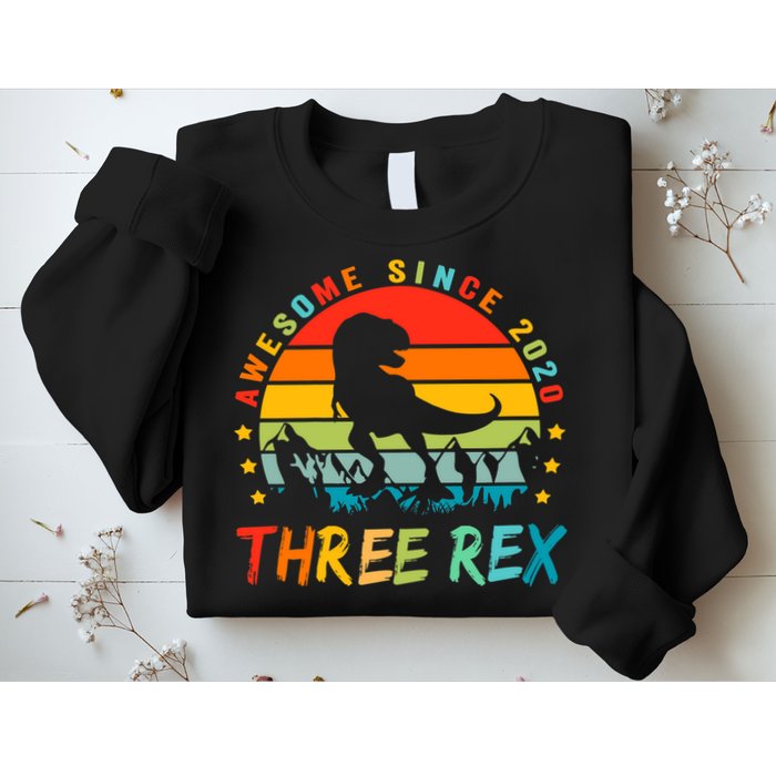 Three Rex 3rd Birthday Third Dinosaur 3 Year Old Sweatshirt
