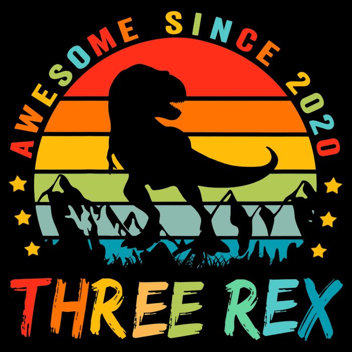 Three Rex 3rd Birthday Third Dinosaur 3 Year Old Sustainable Bucket Hat