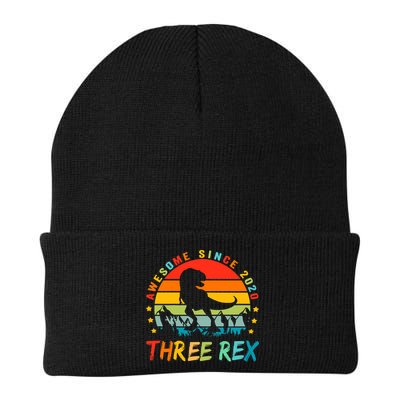 Three Rex 3rd Birthday Third Dinosaur 3 Year Old Beanie