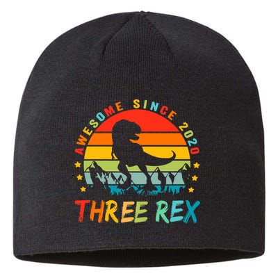 Three Rex 3rd Birthday Third Dinosaur 3 Year Old Sustainable Beanie