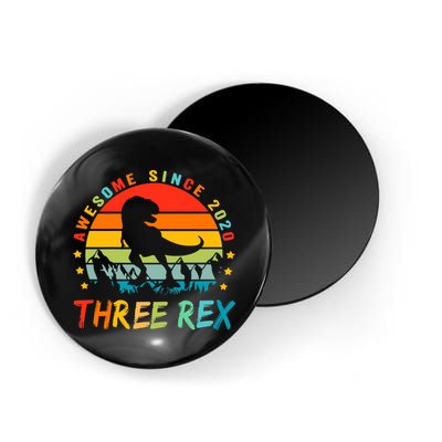 Three Rex 3rd Birthday Third Dinosaur 3 Year Old Magnet