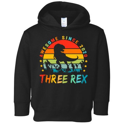 Three Rex 3rd Birthday Third Dinosaur 3 Year Old Toddler Hoodie