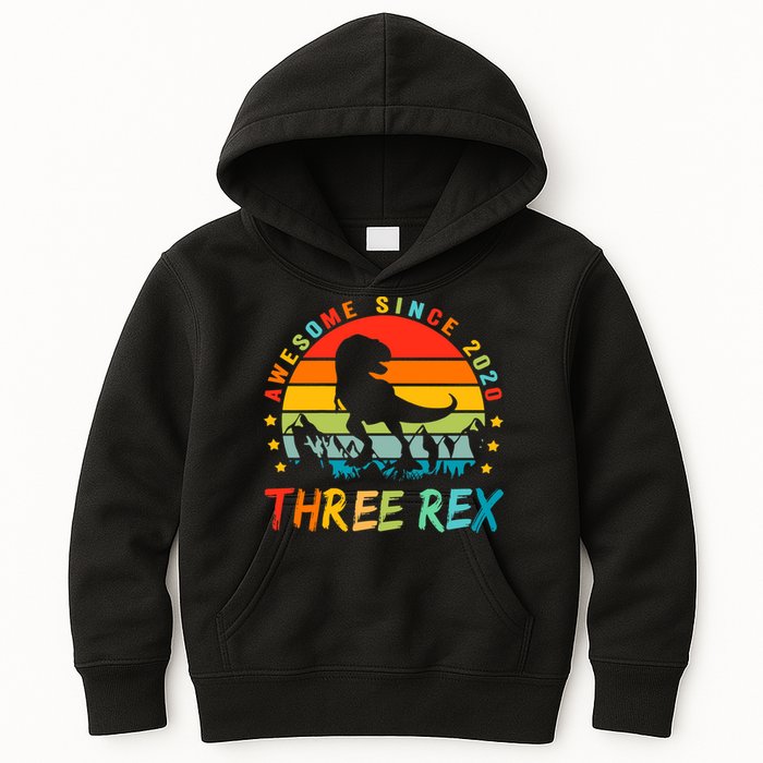 Three Rex 3rd Birthday Third Dinosaur 3 Year Old Kids Hoodie