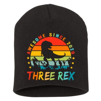 Three Rex 3rd Birthday Third Dinosaur 3 Year Old Short Acrylic Beanie