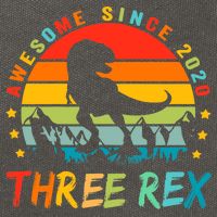 Three Rex 3rd Birthday Third Dinosaur 3 Year Old Cotton Canvas Backpack