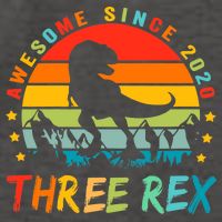 Three Rex 3rd Birthday Third Dinosaur 3 Year Old Vector Backpack