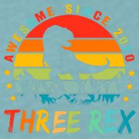 Three Rex 3rd Birthday Third Dinosaur 3 Year Old Sueded Cloud Jersey T-Shirt