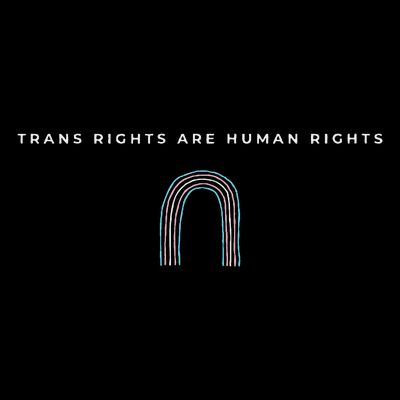 Trans Rights Are Human Rights Subtle Pride Flag Transgender T-Shirt