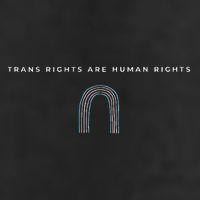 Trans Rights Are Human Rights Subtle Pride Flag Transgender Adult Drive Performance Visor
