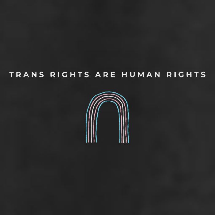 Trans Rights Are Human Rights Subtle Pride Flag Transgender Adult Drive Performance Visor