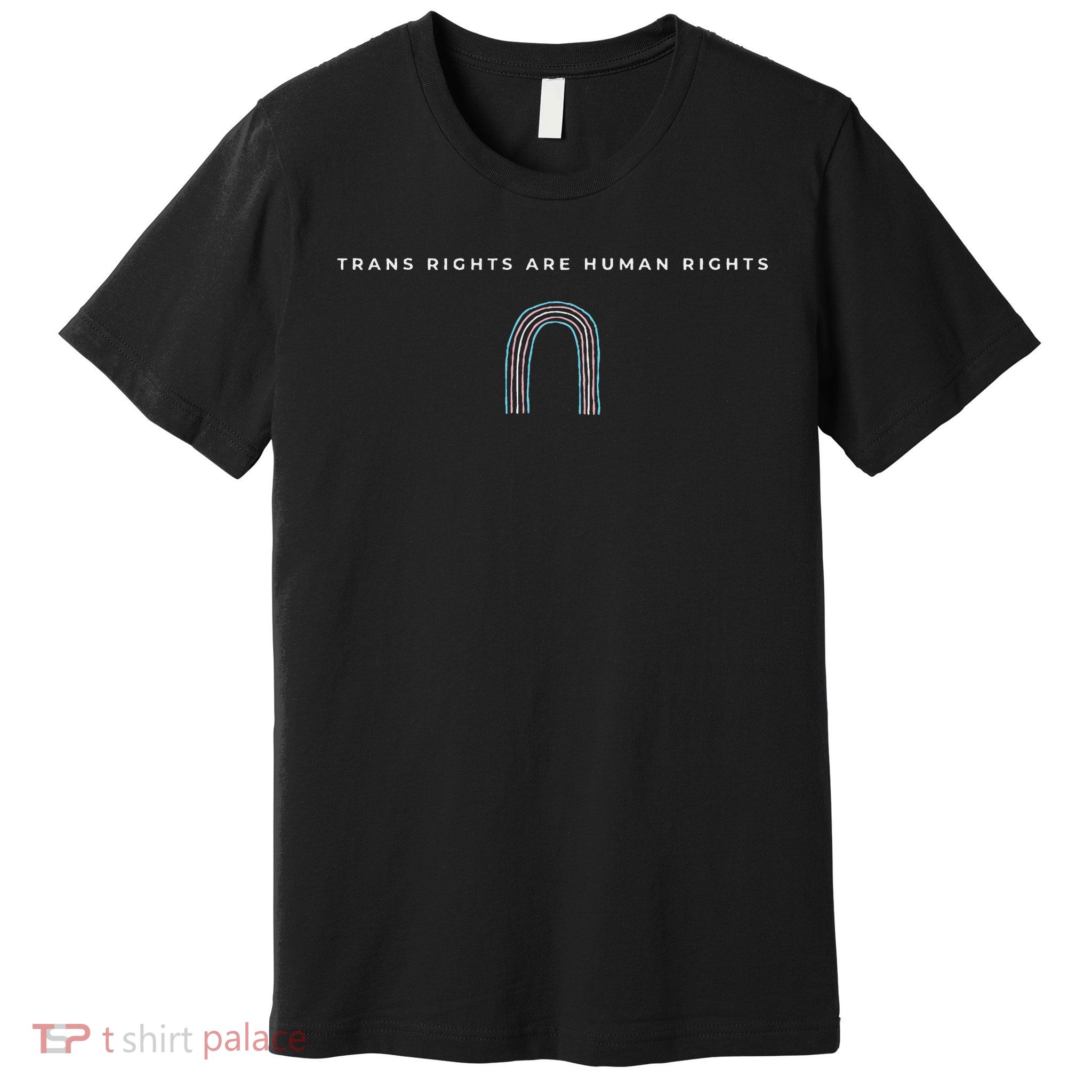Trans Rights Are Human Rights Subtle Pride Flag Transgender Premium T-Shirt
