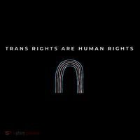 Trans Rights Are Human Rights Subtle Pride Flag Transgender Premium T-Shirt