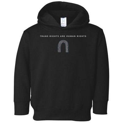 Trans Rights Are Human Rights Subtle Pride Flag Transgender Toddler Hoodie