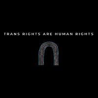 Trans Rights Are Human Rights Subtle Pride Flag Transgender Womens T-Shirt