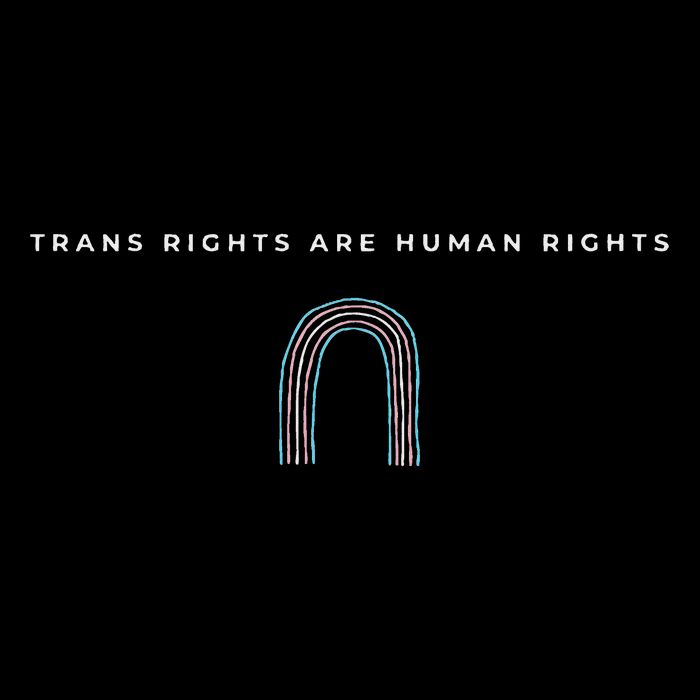 Trans Rights Are Human Rights Subtle Pride Flag Transgender Womens T-Shirt