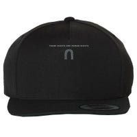 Trans Rights Are Human Rights Subtle Pride Flag Transgender Wool Snapback Cap