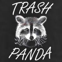 Trash Panda Funny Raccoon Garment-Dyed Heavyweight T-Shirt