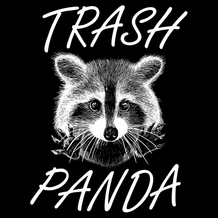 Trash Panda Funny Raccoon USA-Made Doggie Bandana