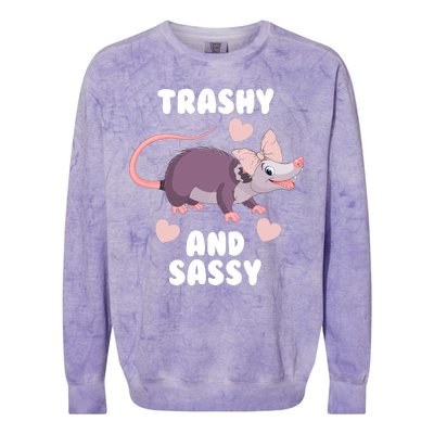 Trashy And Sassy Colorblast Crewneck Sweatshirt